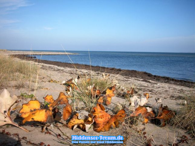am Bodden