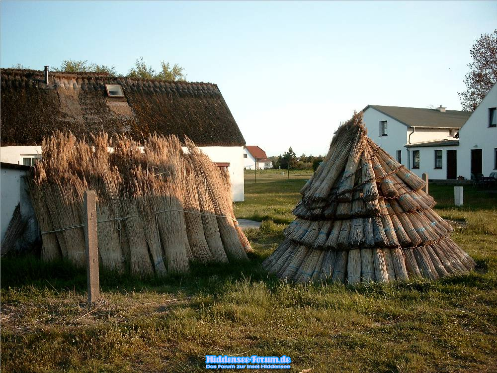 Schilf-Iglu in Neuendorf