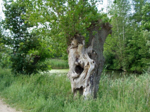 Am Teich in Kloster