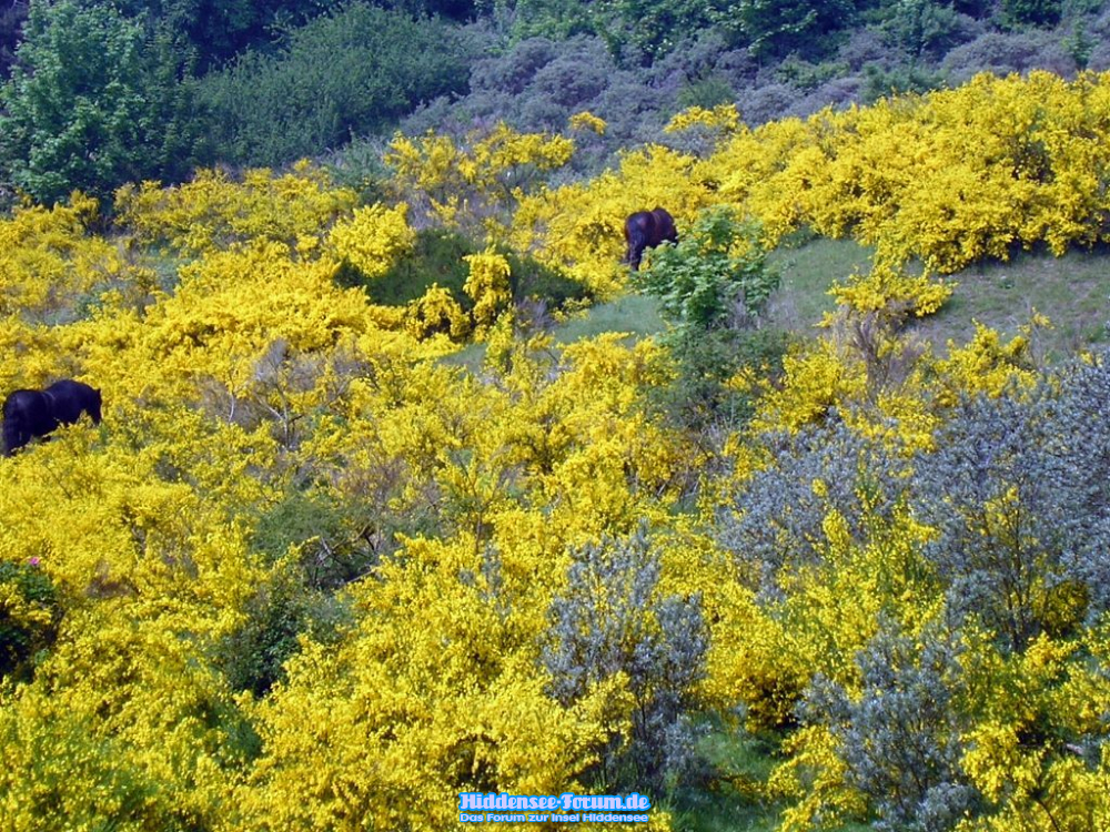 Naturerlebnis
