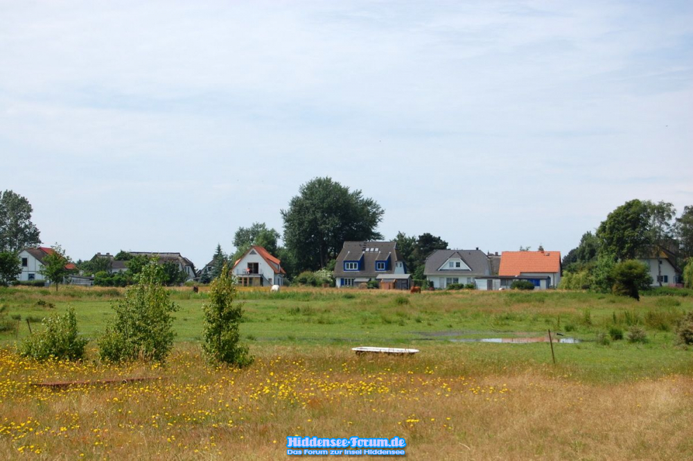 Blick über die Wiese in Vitte