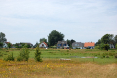 Blick über die Wiese in Vitte