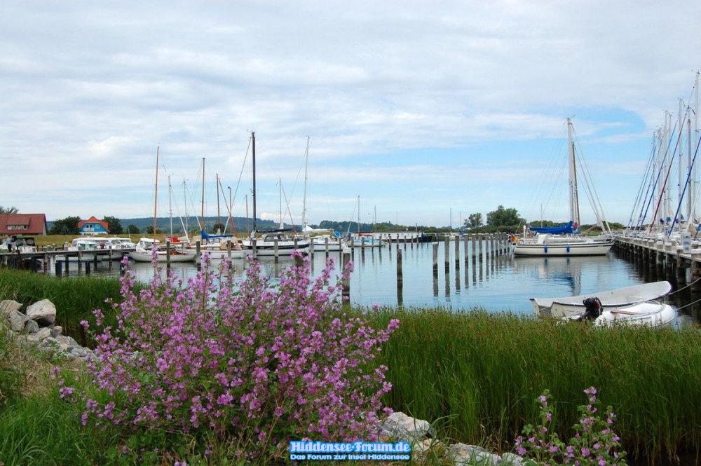 Blick zum Seglerhafen in Vitte