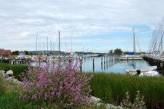 Blick zum Seglerhafen in Vitte