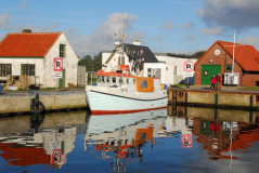 Hafen von Vitte in der Morgensonne