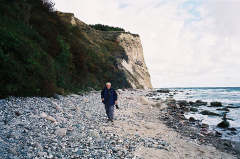 Strandlläufer