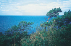 Blick auf die Ostsee