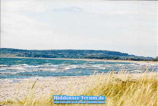 Strand 2008