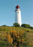 im Juni vor dem Leuchturm