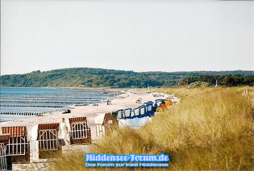 Strand 2008