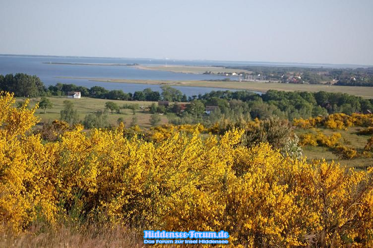Inselblick 2008