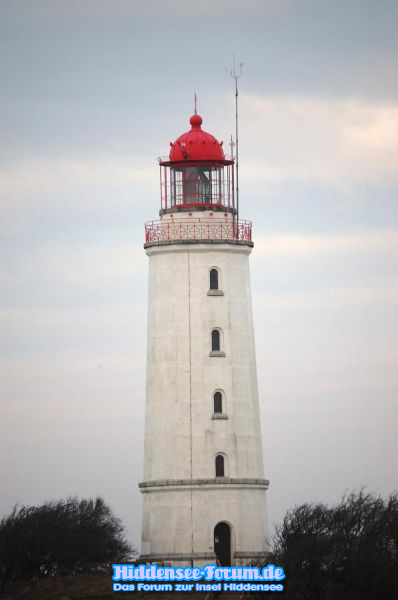 Der Dornbusch