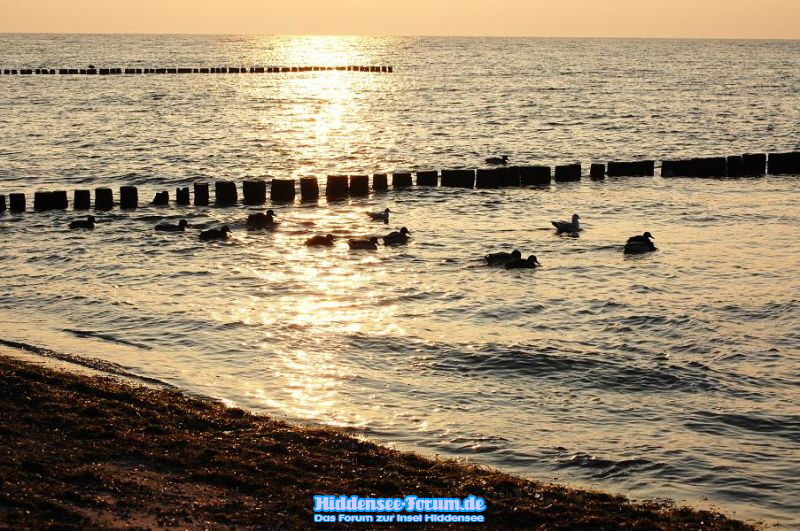 Der Strand Im Winter