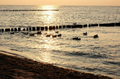 Der Strand Im Winter