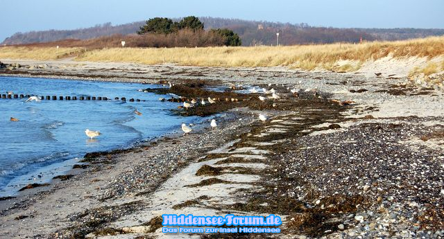 Vogelparadies kurz vor Kloster