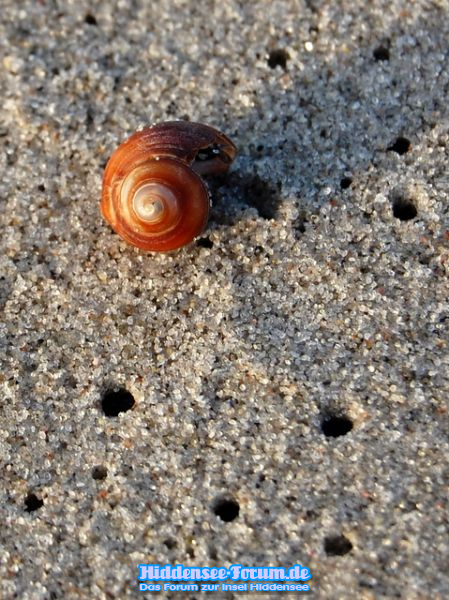 Ein verlassenes Häuschen am Strand.