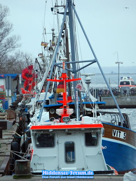 Vitterhafen