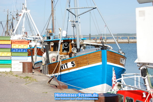 Holz-Kutter