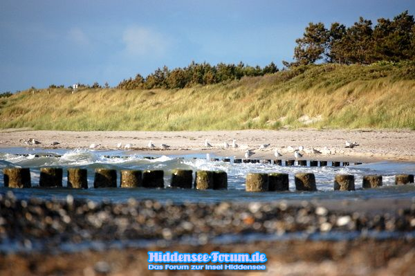 Strandabschnitt zwischen Vitte und Neuendorf