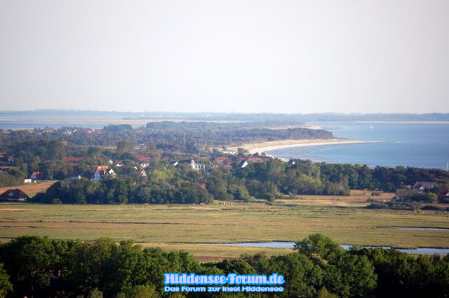 Vitte
