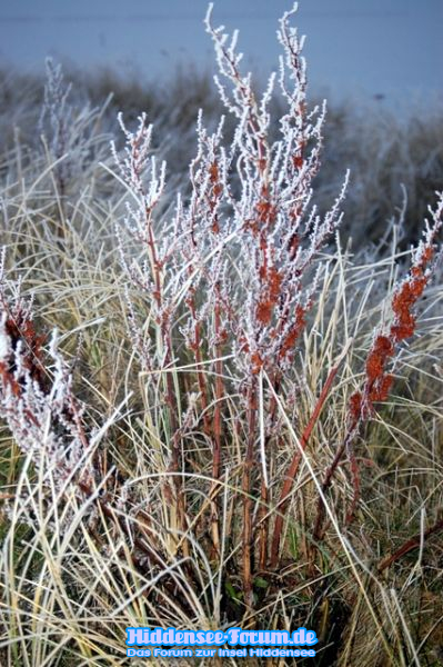 Winterzauber auf Hiddensee