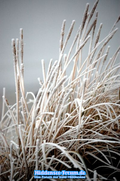 Die Natur im Winter.