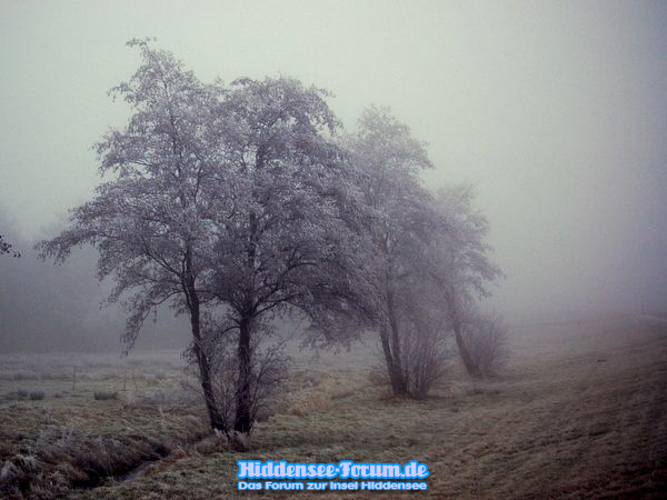 Stille zu dritt.!