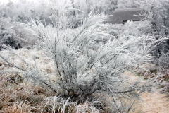 HIDDENSEE IM WINTER