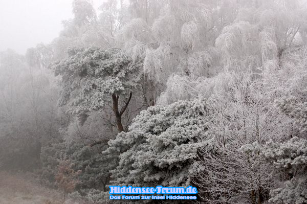 HIDDENSEE IM WINTER
