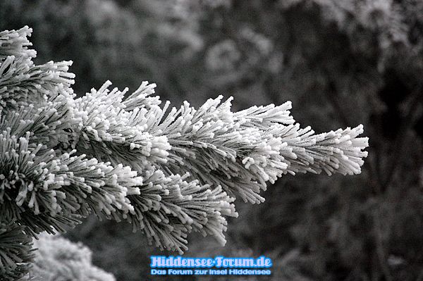Winterzauber auf Hiddensee