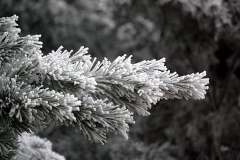 Winterzauber auf Hiddensee