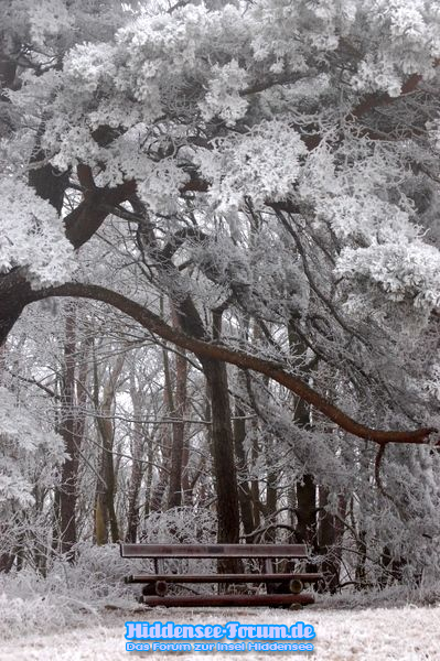 Die Winterliche Ruhe