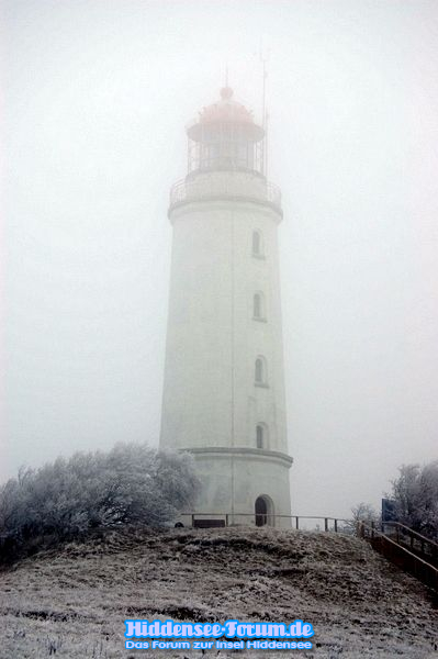 Winter am Dornbusch