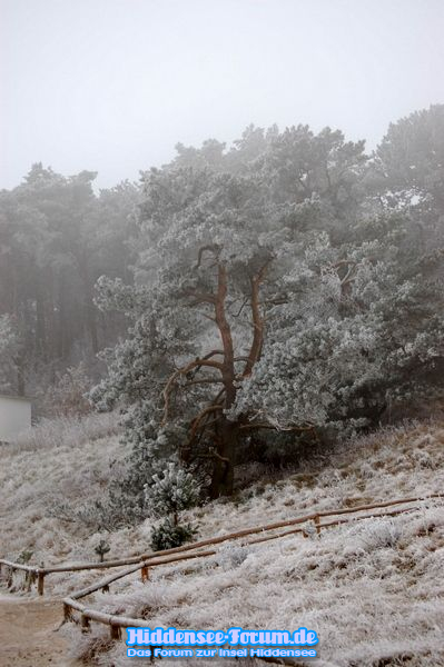 Wintereinbruch auf Hiddensee