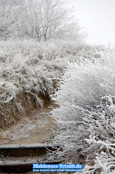 Zauber der Natur im Winter.