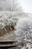 Zauber der Natur im Winter.