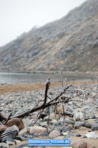 Die Steilküste