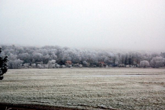 Kloster im Januar