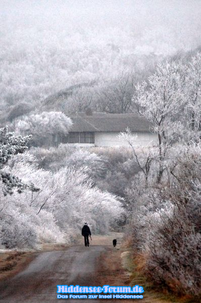 Der Wintertraum in Weiß
