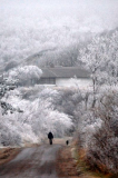 Der Wintertraum in Weiß