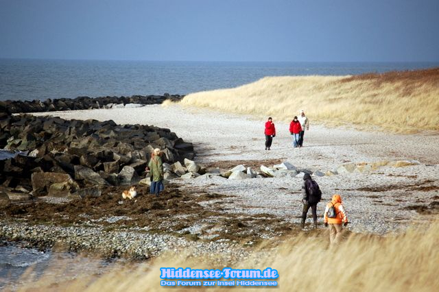 Nie langeweilig