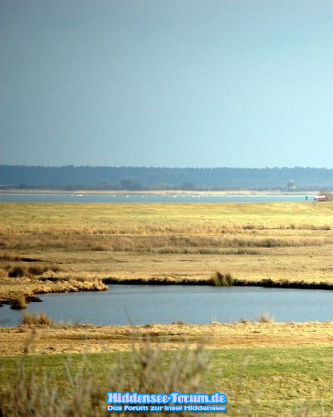 Die Natur vorm ausruhen