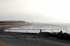 Insel des Lichtes