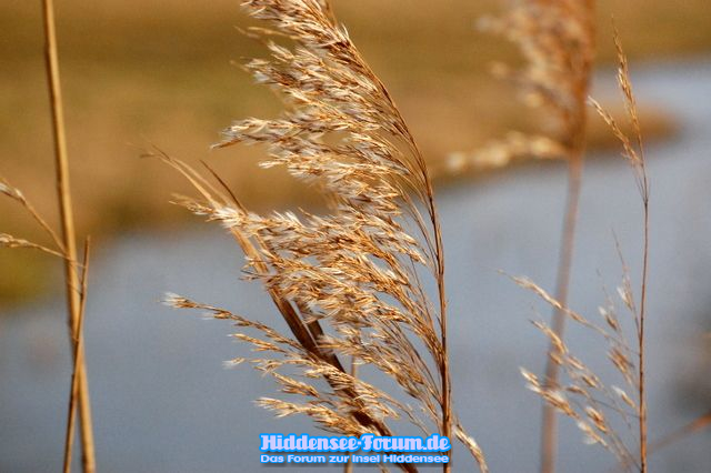 Die Natur vorm ausruhen