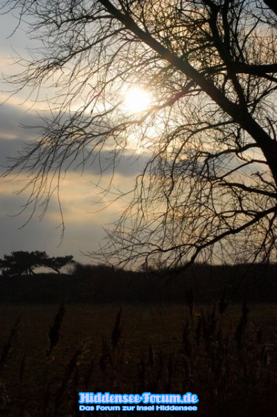 Insel des Lichtes