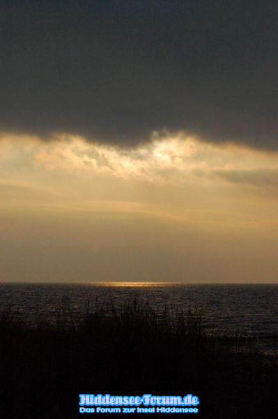 Insellicht