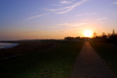 Sonnenuntergang am Deich