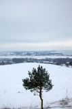 Hiddensee- Die besondere Insel