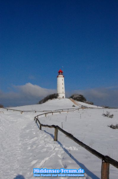 Dornbusch im Winter