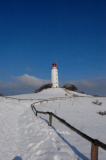 Dornbusch im Winter